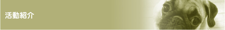 活動紹介