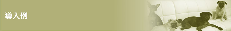 導入事例