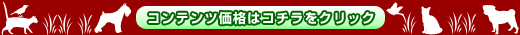 コンテンツ価格はコチラ