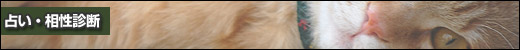 占い/相性診断