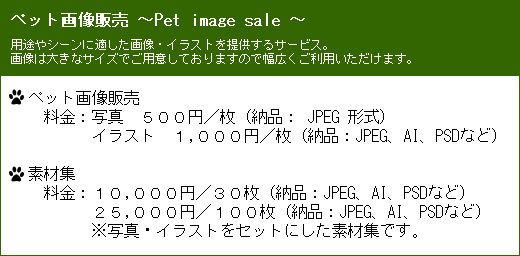 ペット画像販売