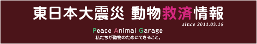 動物救済情報ページに進む!